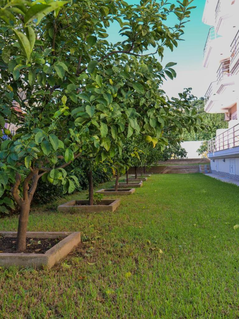 Himara Royal Hotel 外观 照片